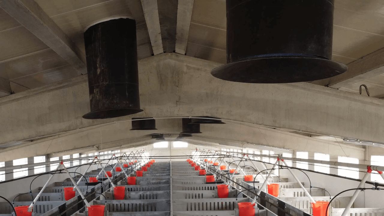 Chimeneas de ventilación en una granja